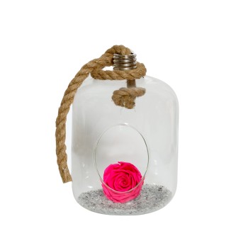 Beauty And The Beast  For Ever Fuchia Glass Lamp